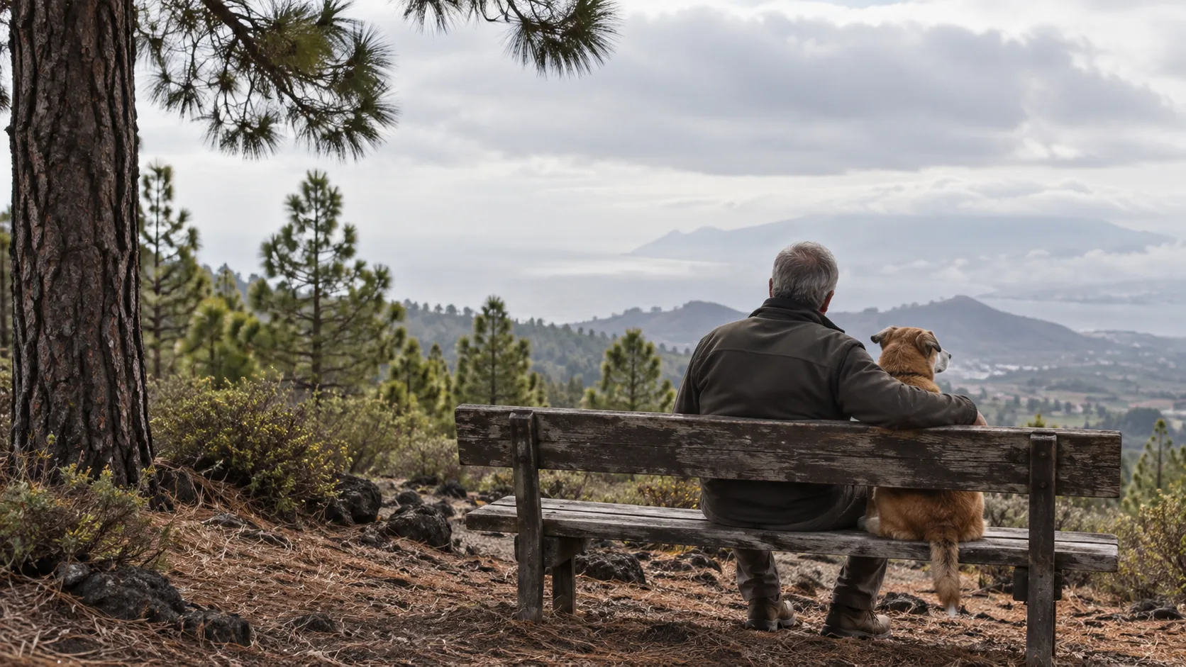 perro marrón con su amo sentados en un banco azul oscuro en la naturaleza